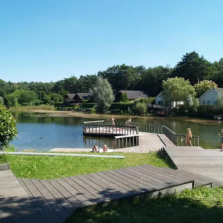 Modern Located In The Achterhoek 别墅
